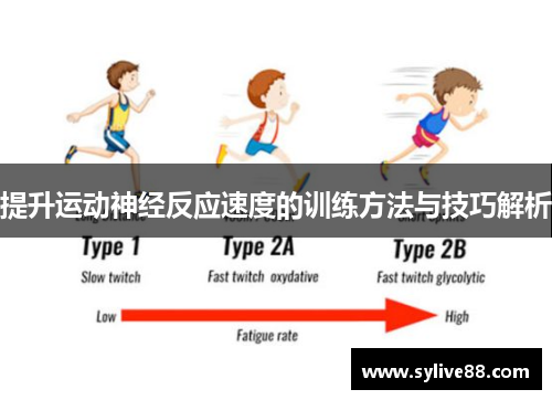 提升运动神经反应速度的训练方法与技巧解析